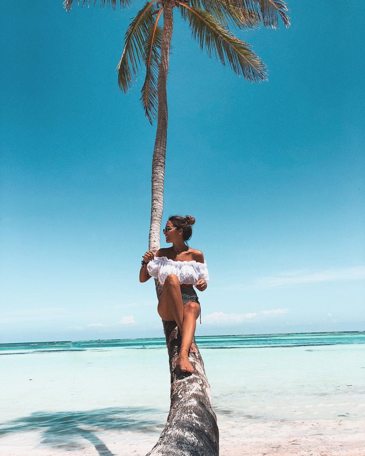 palmera playa blanca